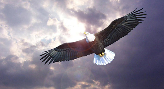 球盟会·qmh(中国)-官方网站