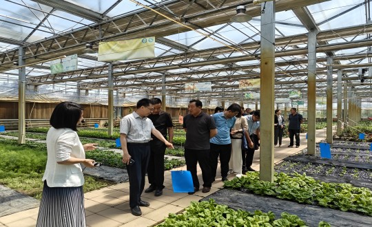 2024年6月27日，，，中国绿色食物生长中心相关向导莅临农业总公司考察调研_副本.jpg